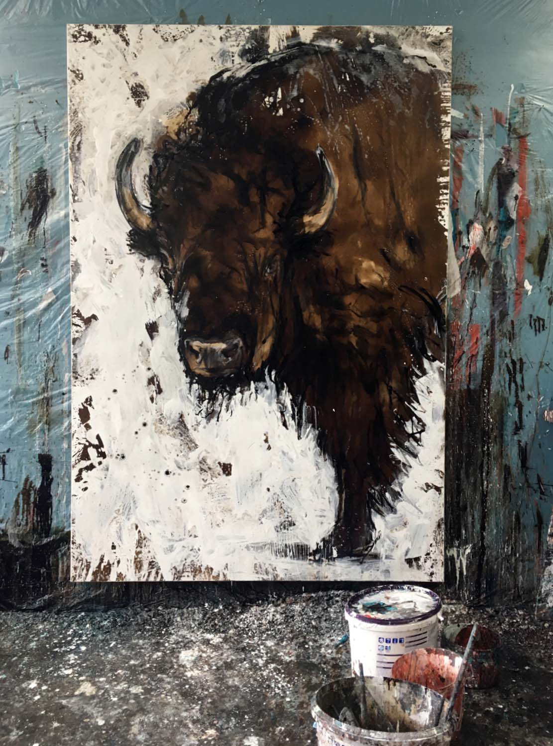 Bison 1