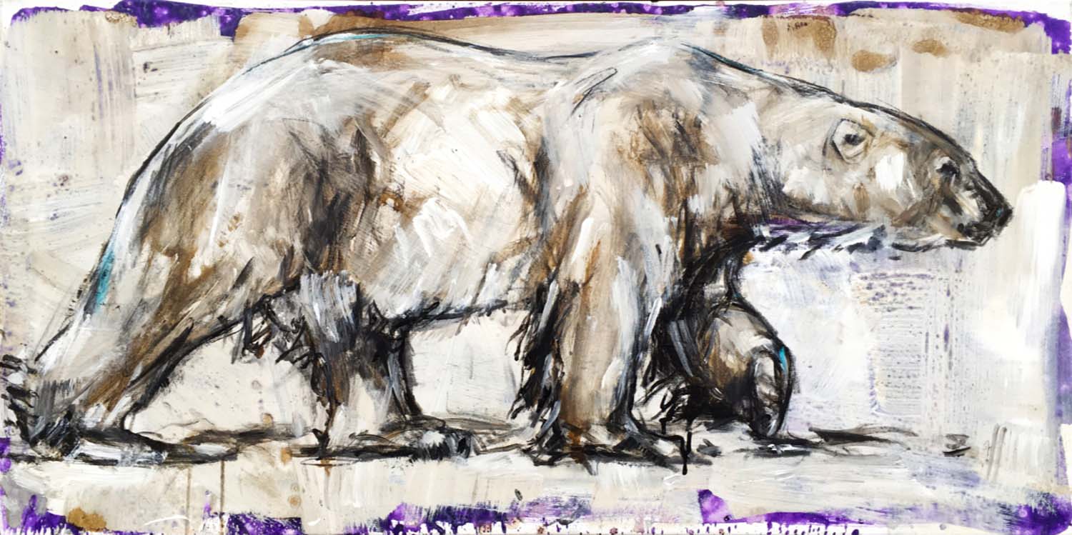 Polar Bear 31