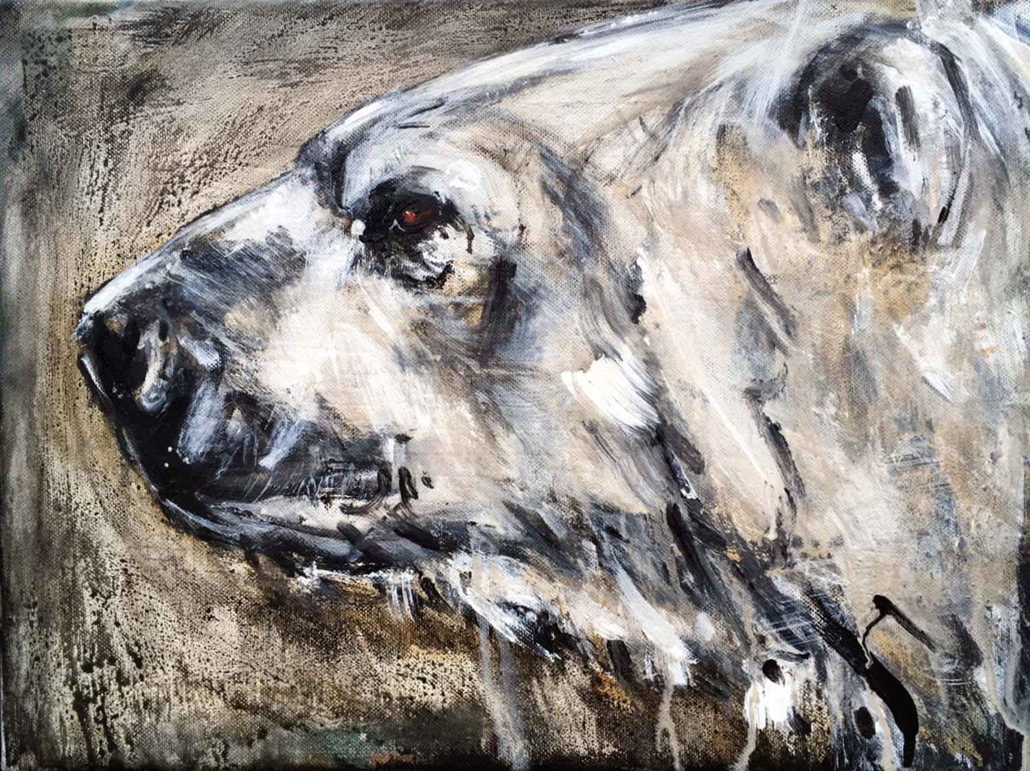 Polar Bear 15
