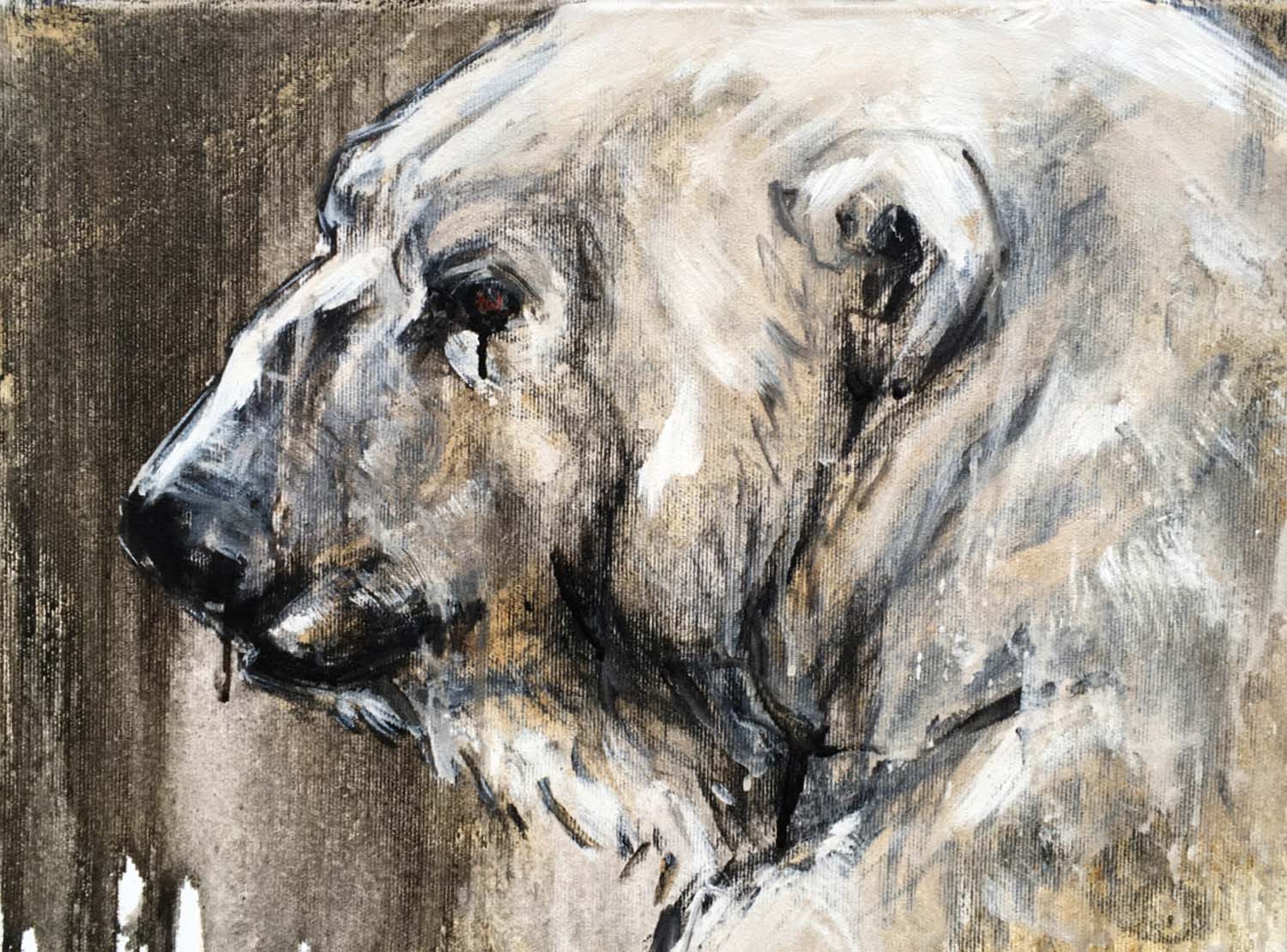 Polar Bear 16