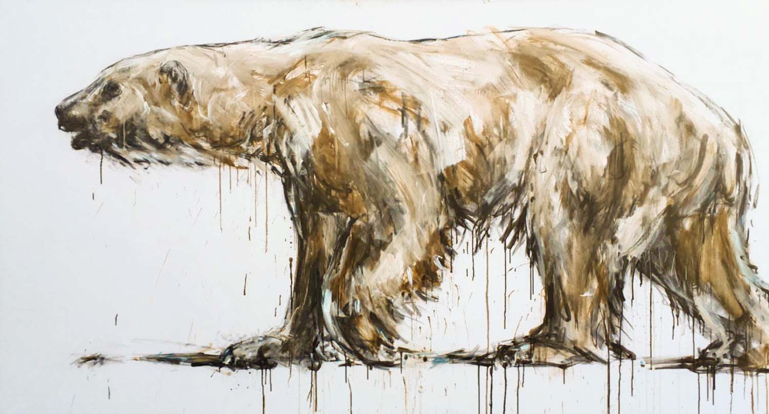 Polar Bear 17