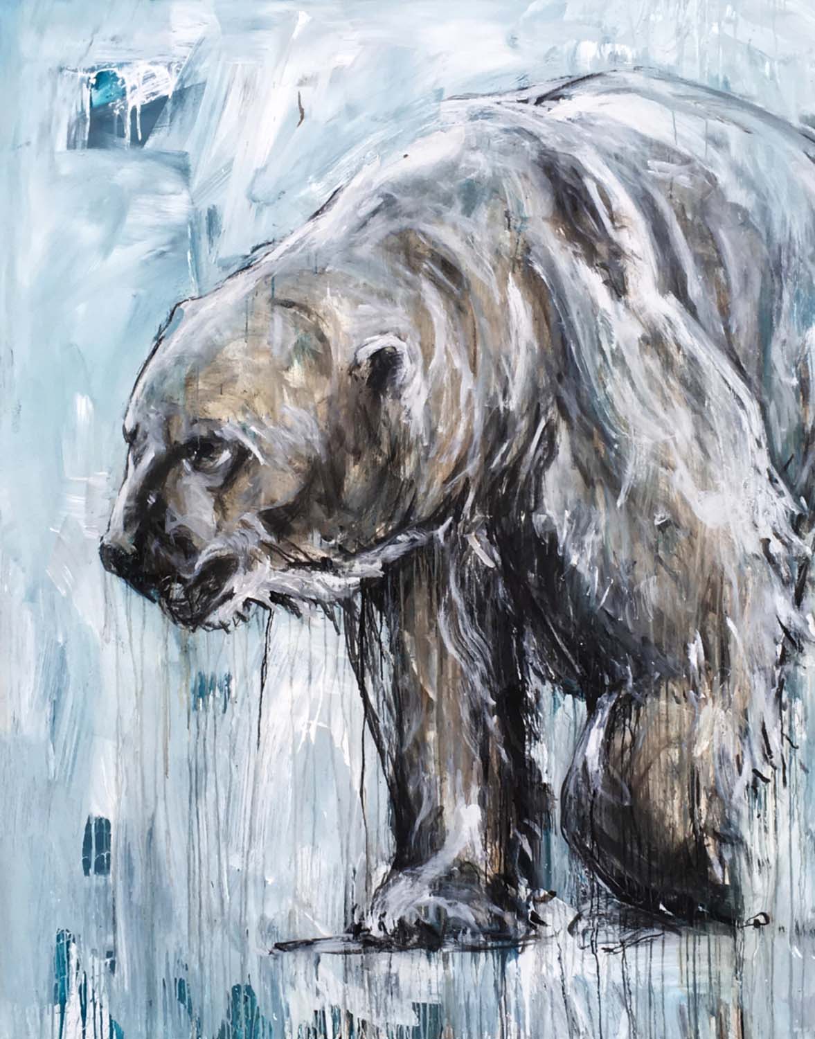 Polar Bear 19