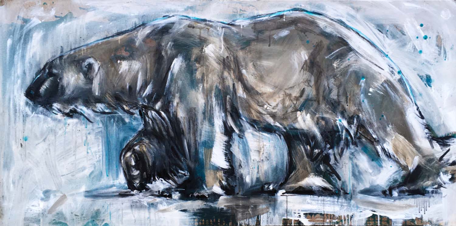 Polar Bear 26