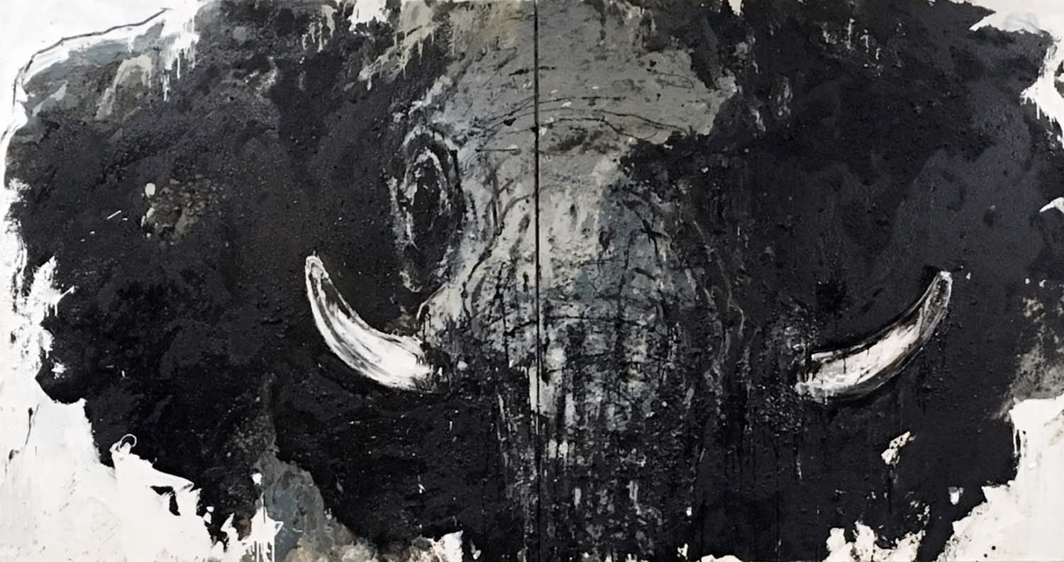 Elefant 81