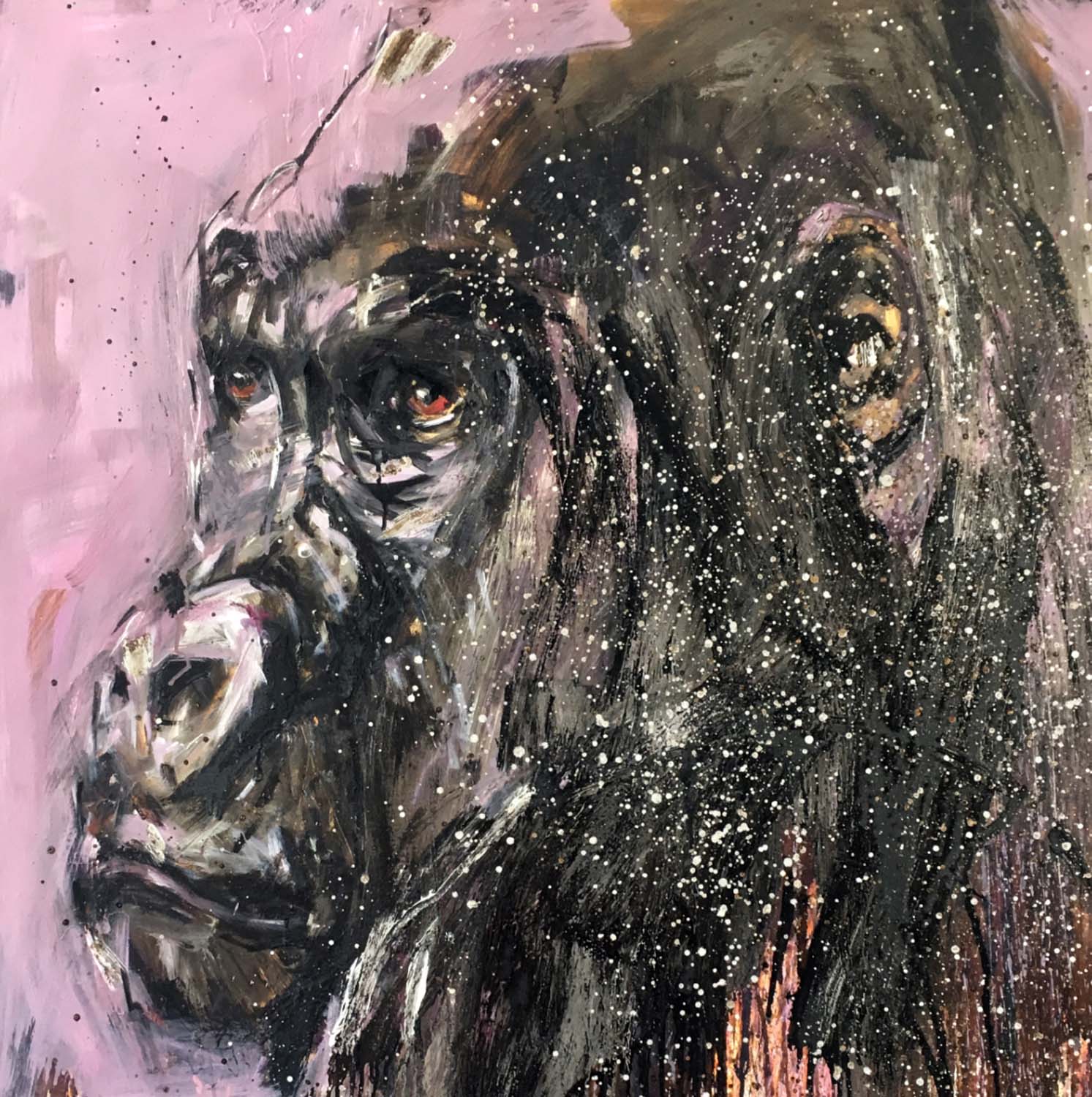 Gorilla 47