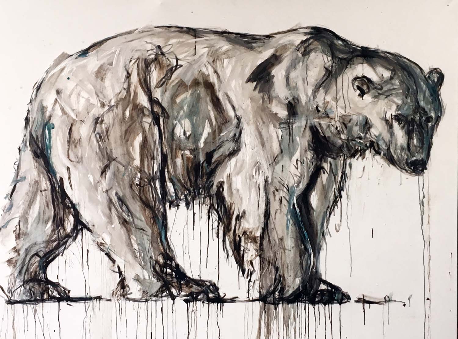 Polar Bear 34