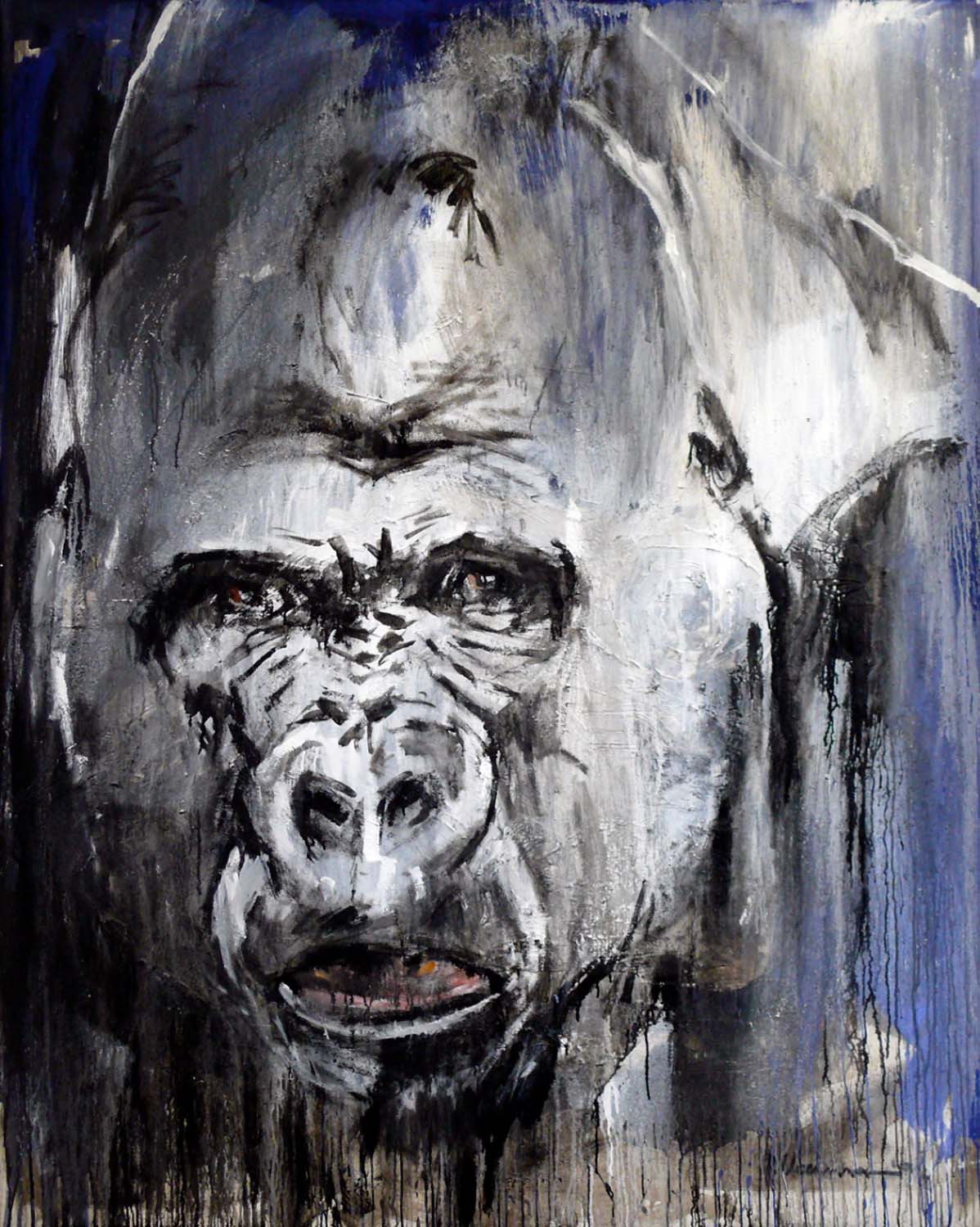 Gorilla 20