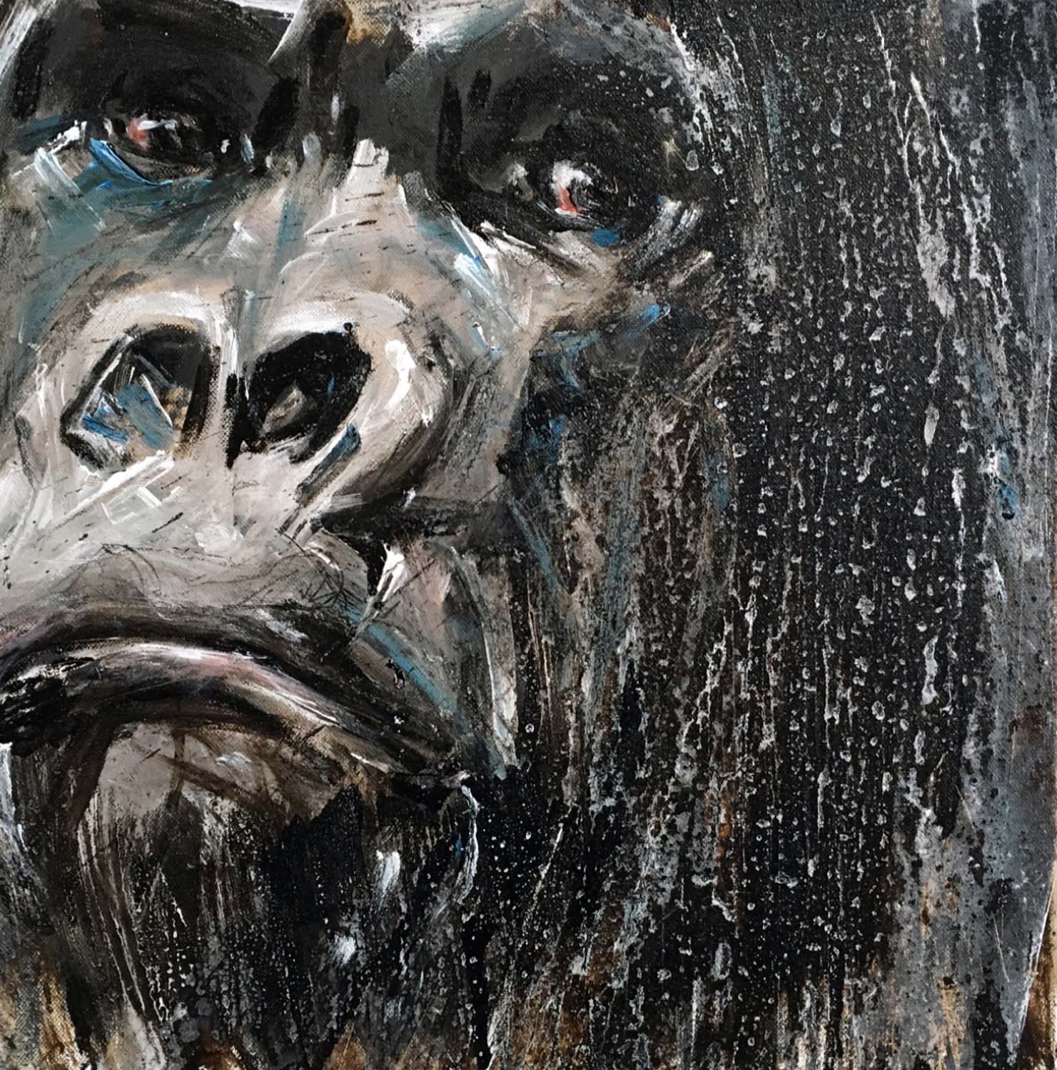 Gorilla 66