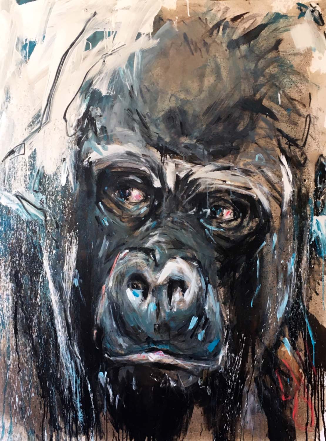 Gorilla 75