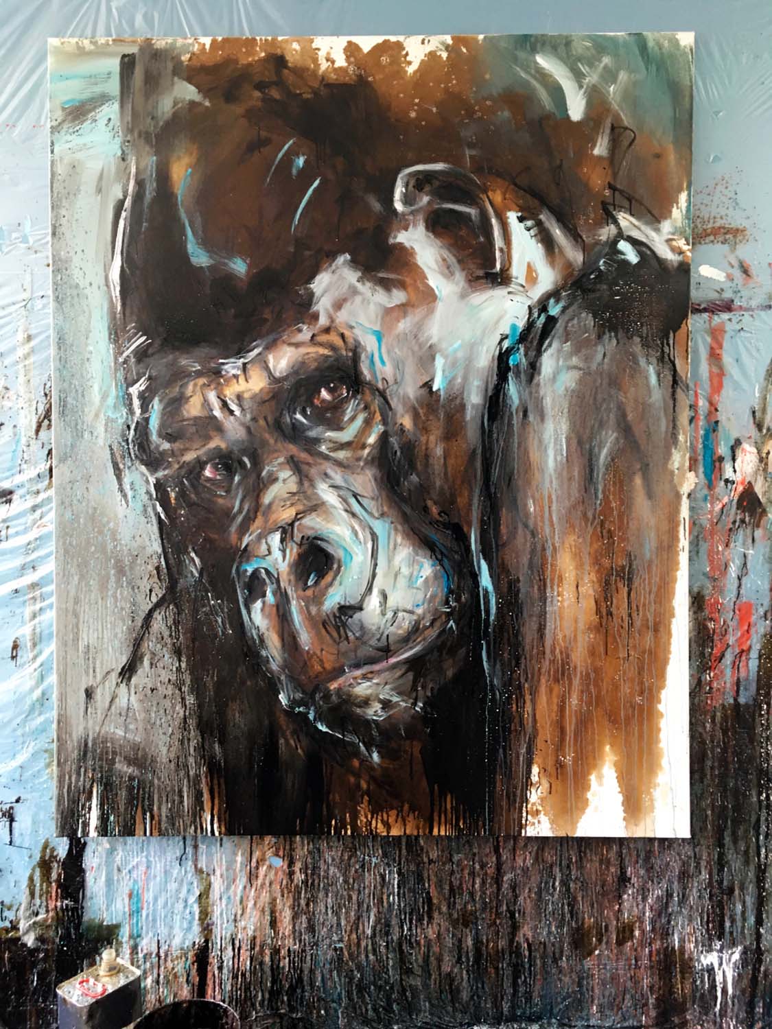 Gorilla 77