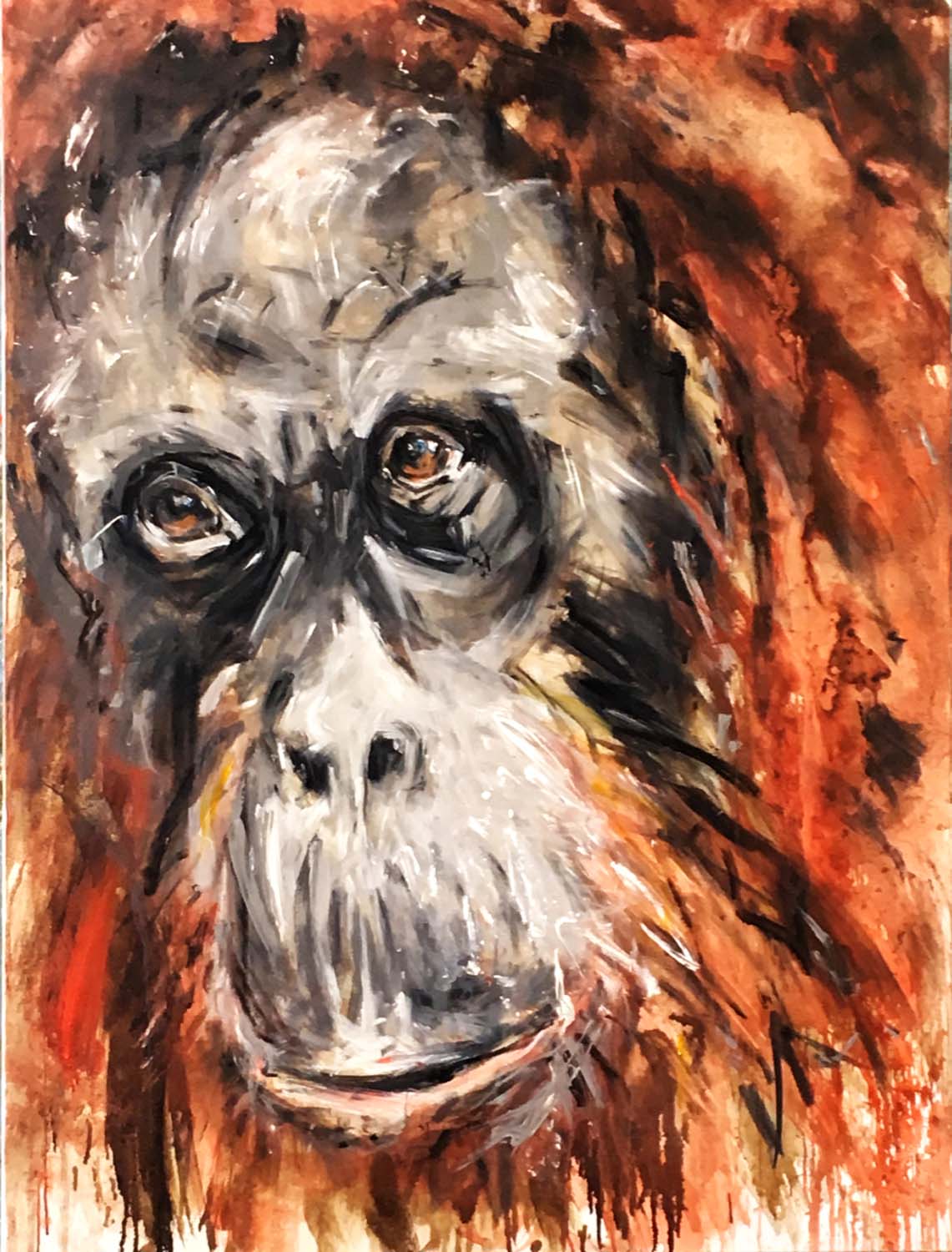 Orang Utan 2