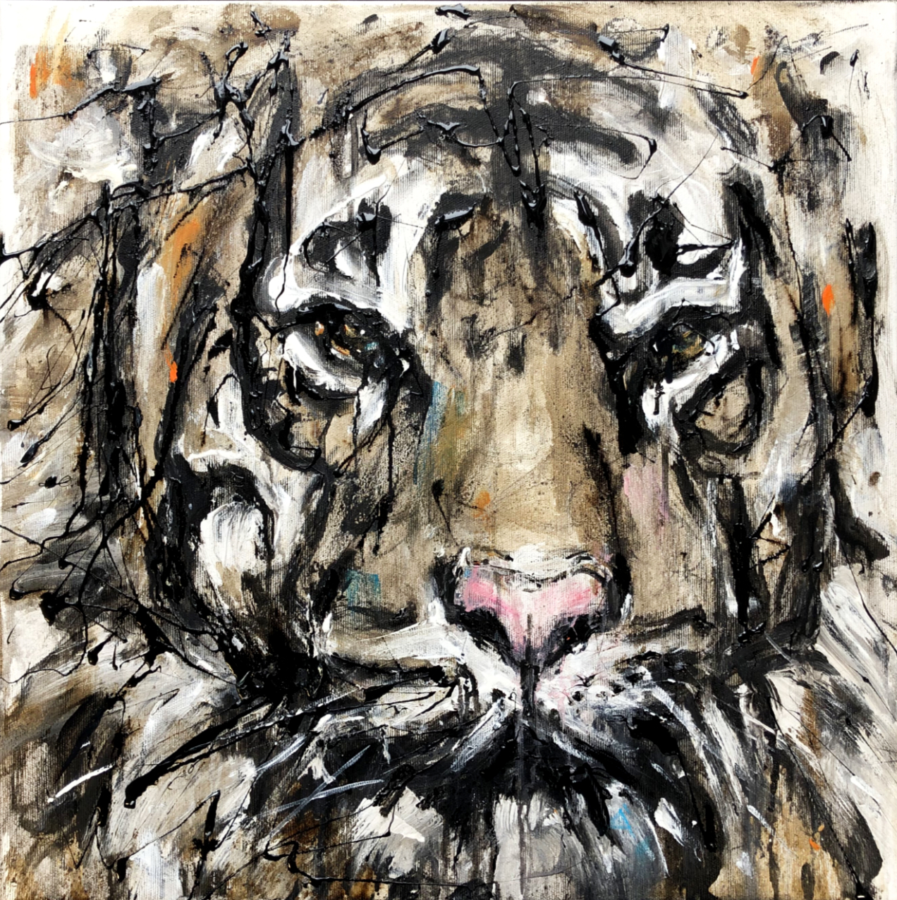 Tiger 8