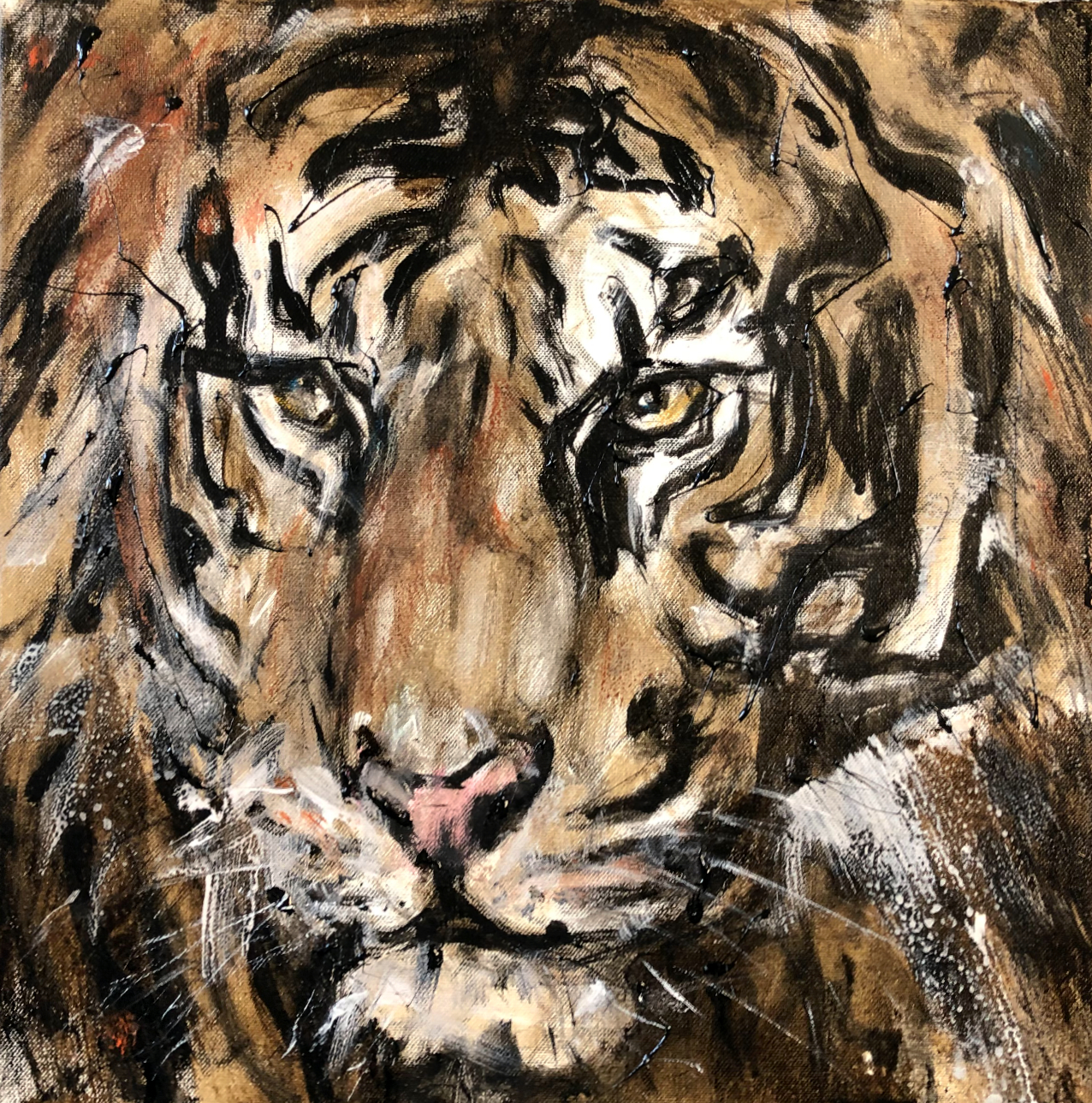 Tiger 9
