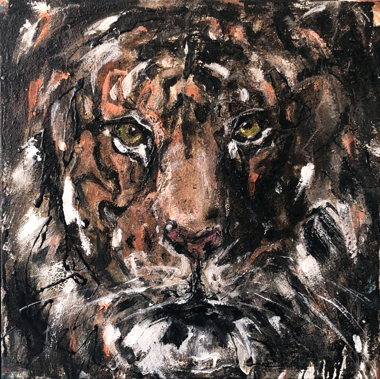 Tiger 16