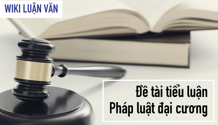 Một số đề tài cho tiểu luận Pháp luật đại cương