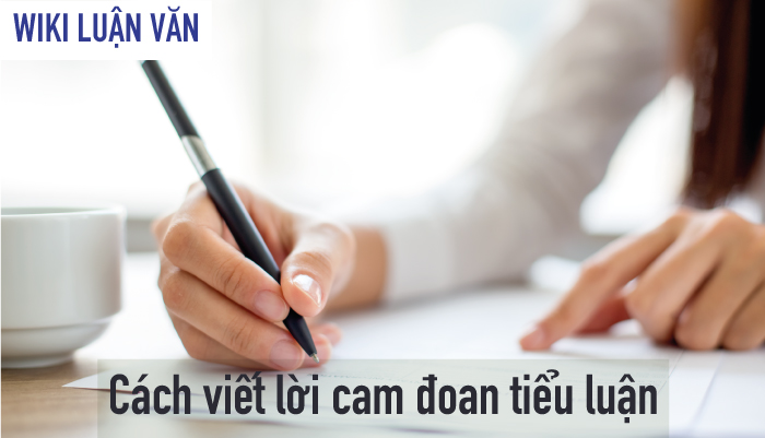 Cách viết và mẫu lời cam đoan trong bài tiểu luận