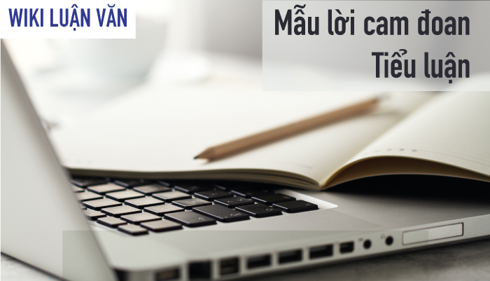 Một số mẫu lời cam đoan trong tiểu luận