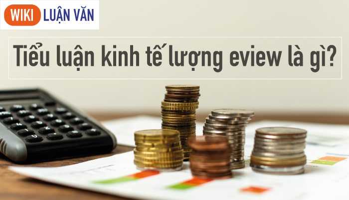 Tiểu luận kinh tế lượng eview là gì?