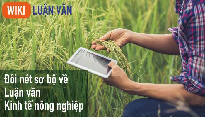 Đôi nét sơ bộ về luận văn kinh tế nông nghiệp