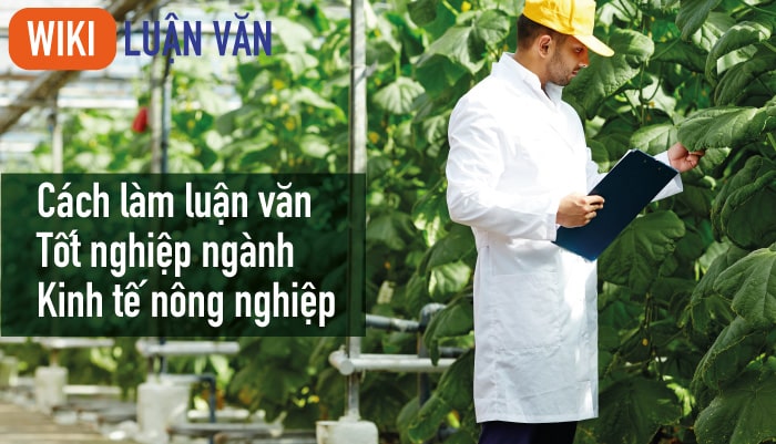 Cách làm luận văn tốt nghiệp ngành kinh tế nông nghiệp