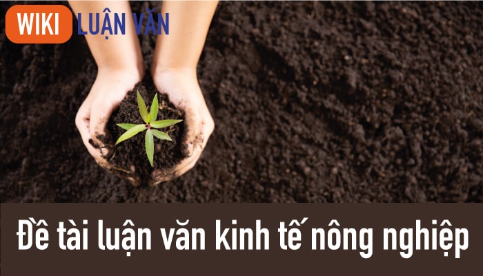 Đề tài luận văn kinh tế nông nghiệp hay và mới nhất