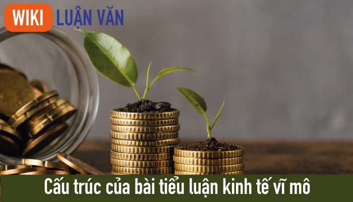 Cấu trúc của bài tiểu luận kinh tế vĩ mô