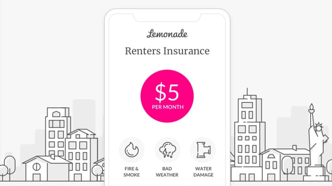 Nuovi trend nel mondo assicurativo il caso Lemonade