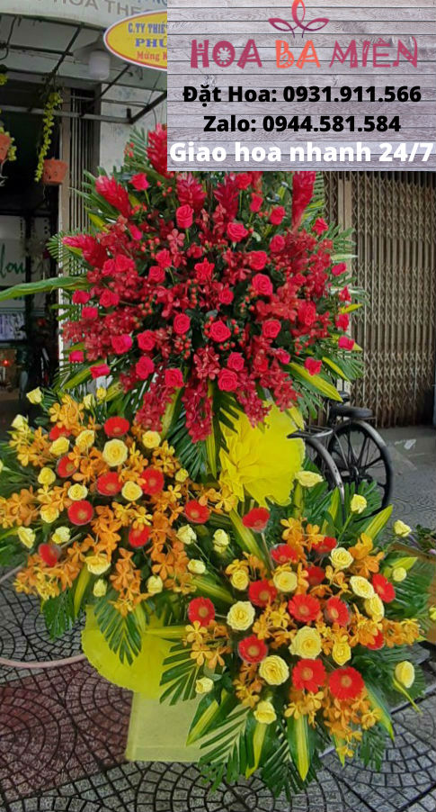 Hoa Khai Trương 46