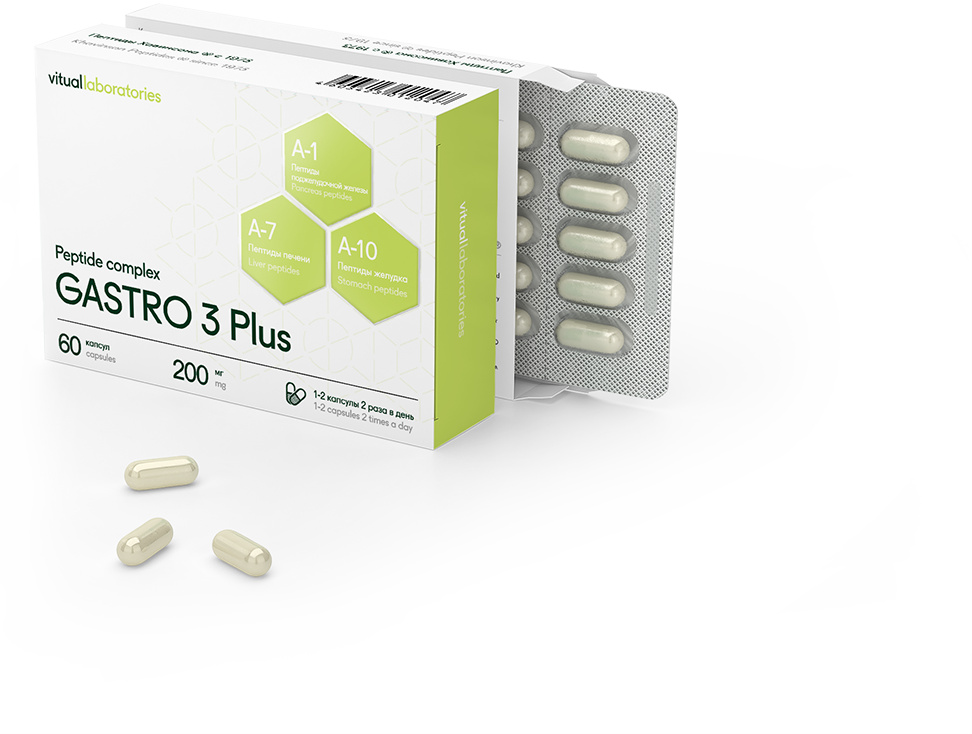 Gastro | Liver, Pancreas, Stomach |Digestion