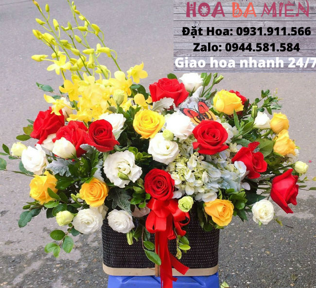 Hoa Sinh Nhật 9046