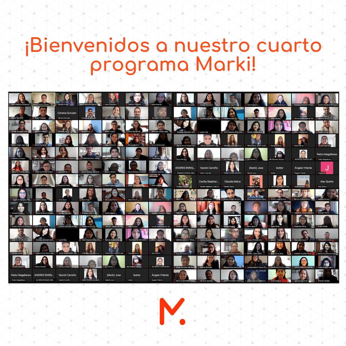 voluntarios universitarios