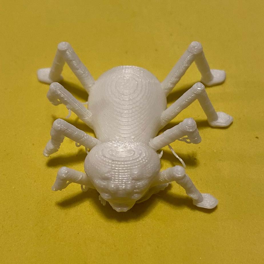 3D Printed Spider