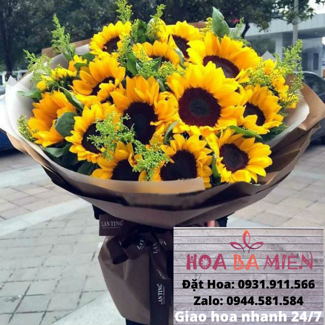 Hoa Sinh Nhật 9016