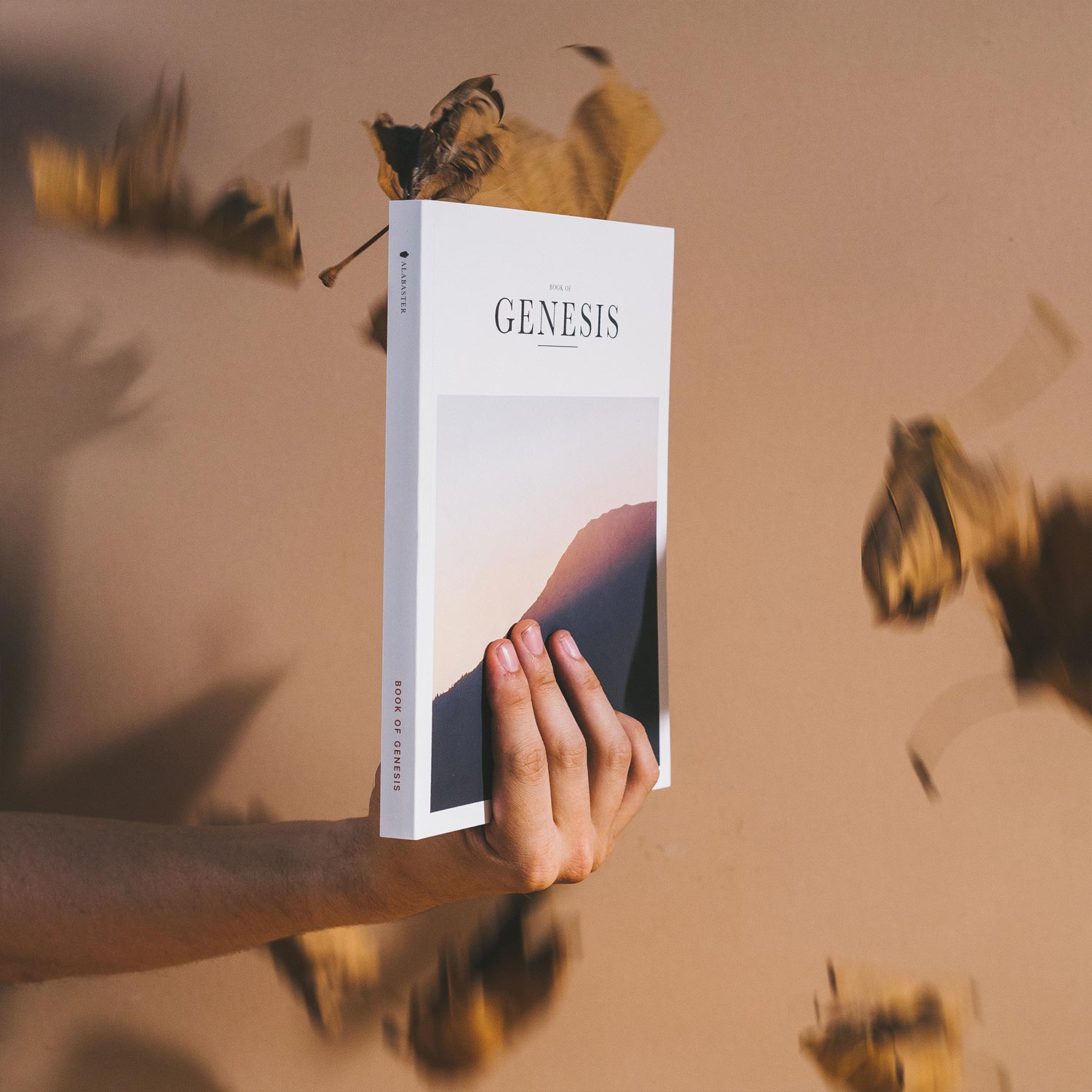 Genesis Magazine