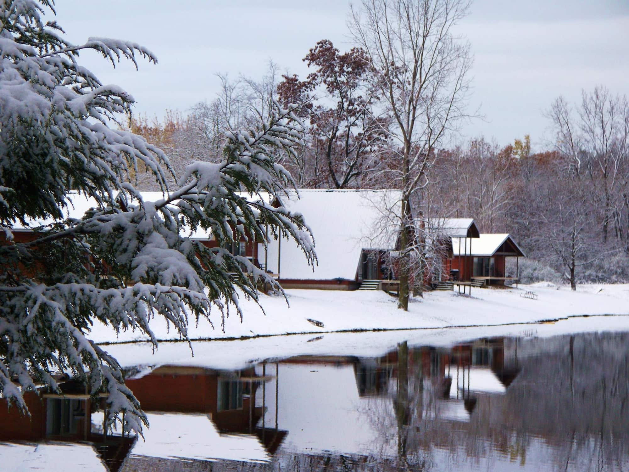 Escape To Serenity Mcgrath Cedar Rapids Hidden Oasis Awaits Your Discovery - jprbfkj