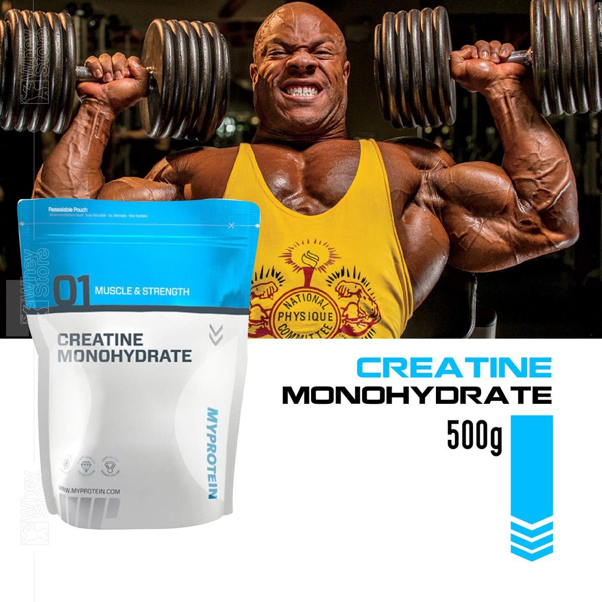 Creatine là gì? Blog