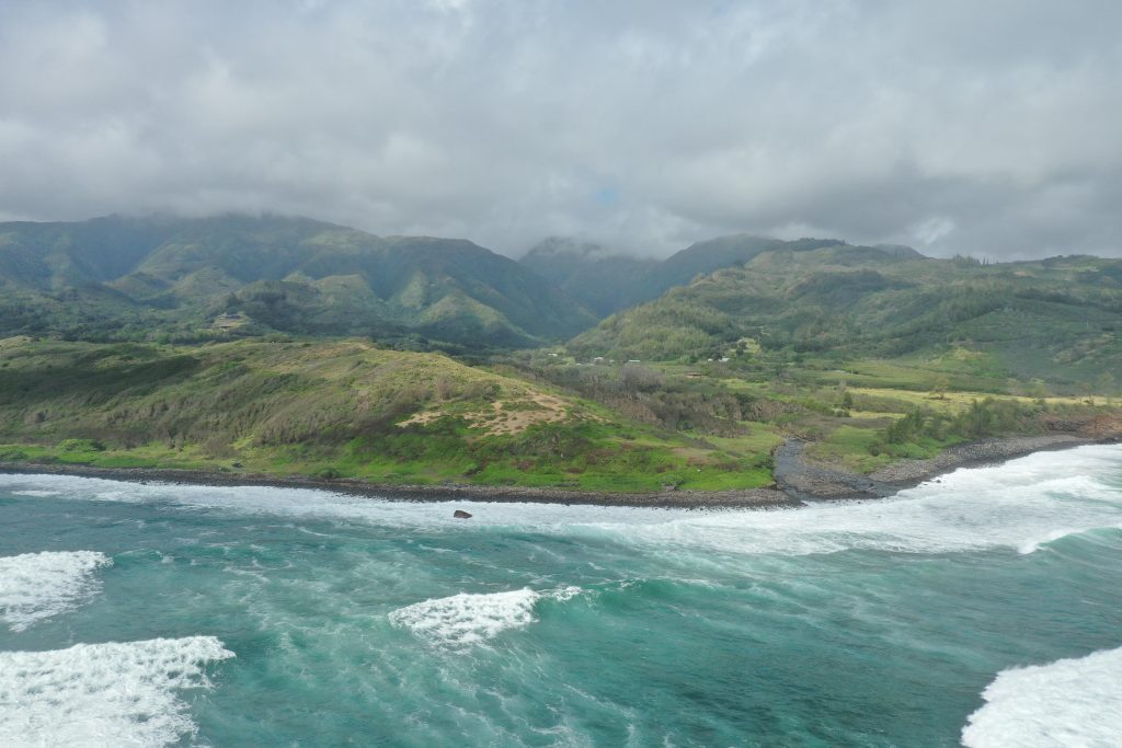 Hawaiʻi Land Trust awarded 803,700 grant for Waiheʻe Coastal Dunes