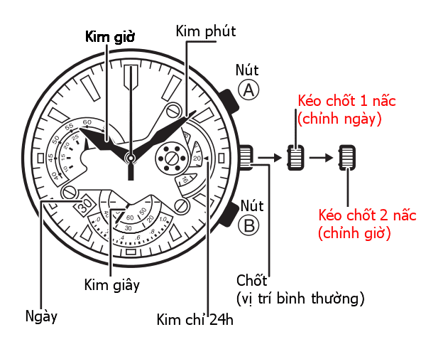 3 nút chức năng của đồng hồ Casio 6 kim