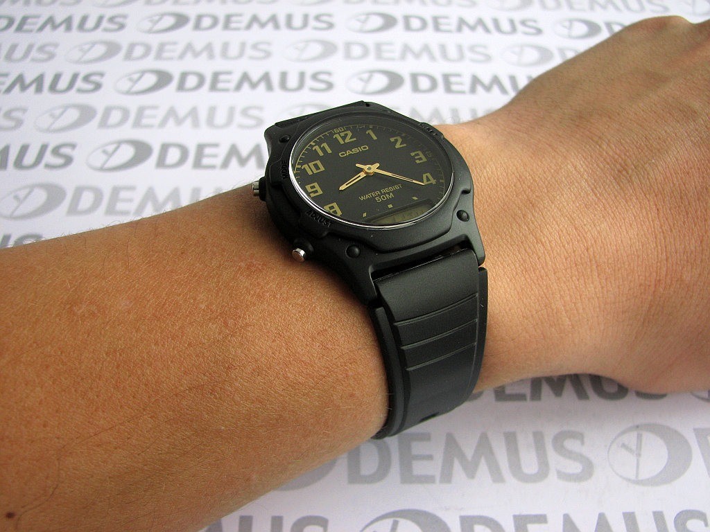 Casio Standard có thể phân thành những loại nào?