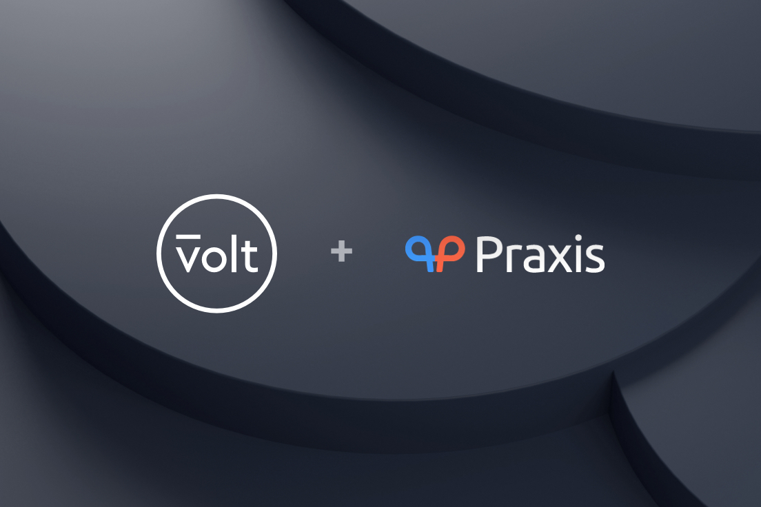 volt gold retail price