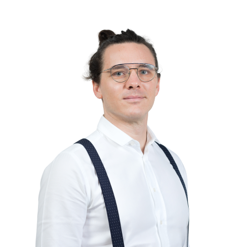 Docente Flavio Ubezio