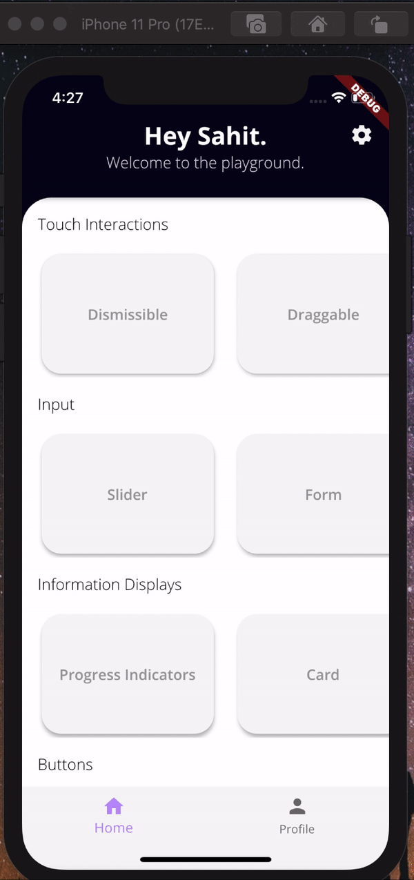 Flutter playground application demo