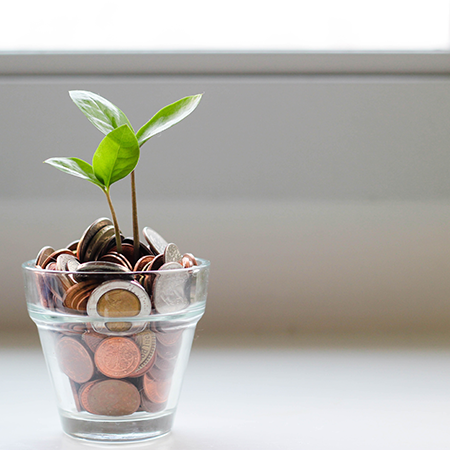 A green sprout emerges from a cup of assorted change while sitting on a desk near a window.