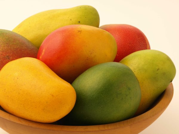 Algunos ejemplares de mango.