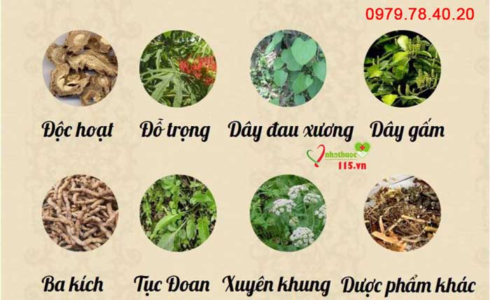 thành phần cốt khí long