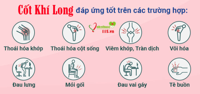 đối tượng sử dụng cốt khí long