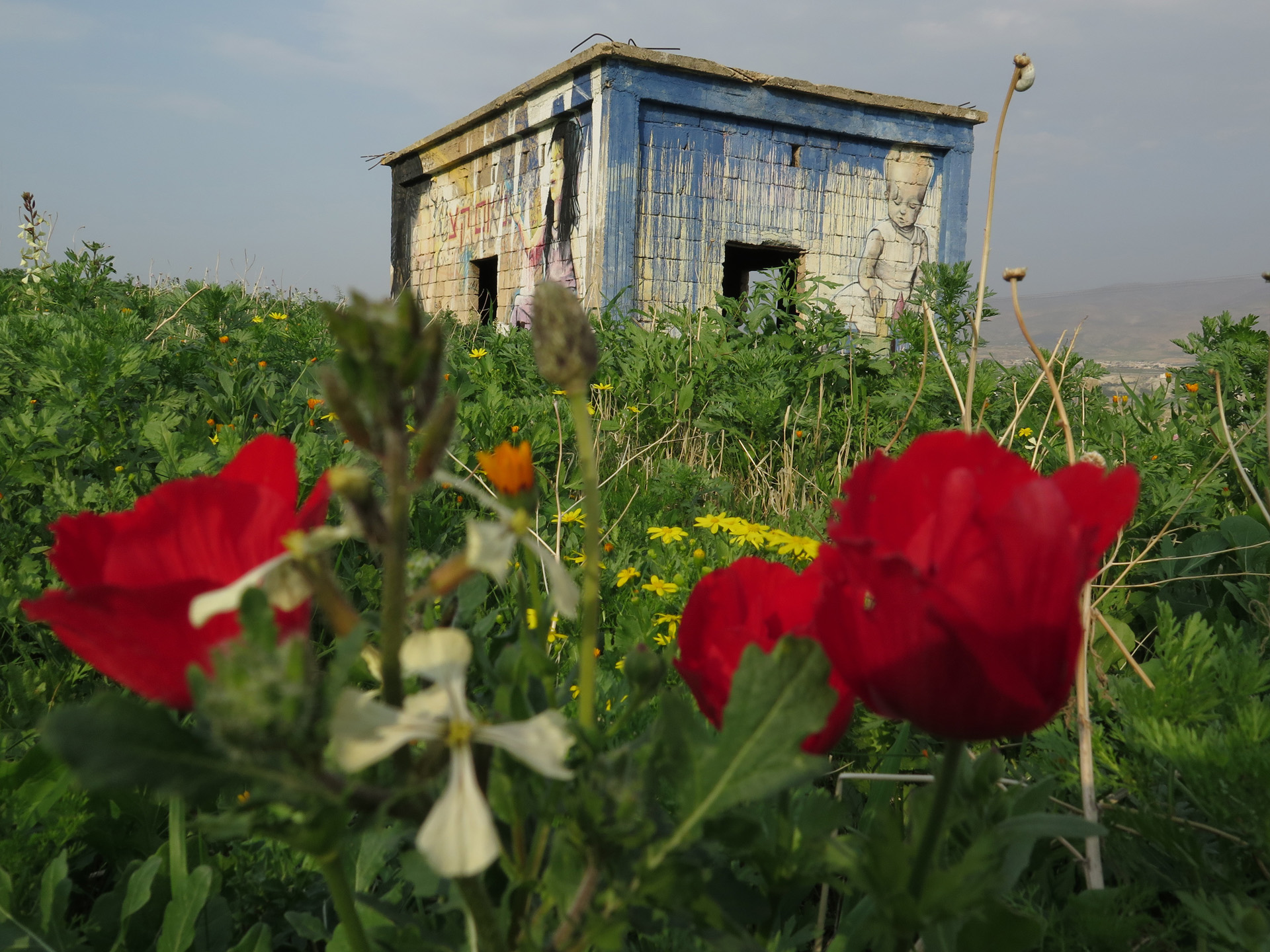 כביש הבקעה- יואל שתרוג - אדמה יוצרת - yoel sitruk