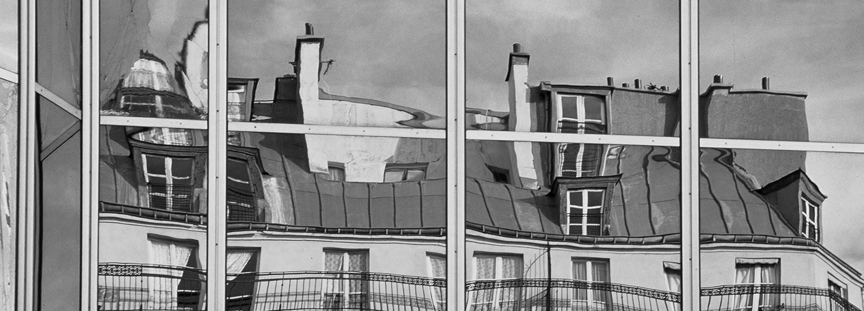 פריז - עלי שלכת - paris - יואל שתרוג - אדמה יוצרת - yoel sitruk