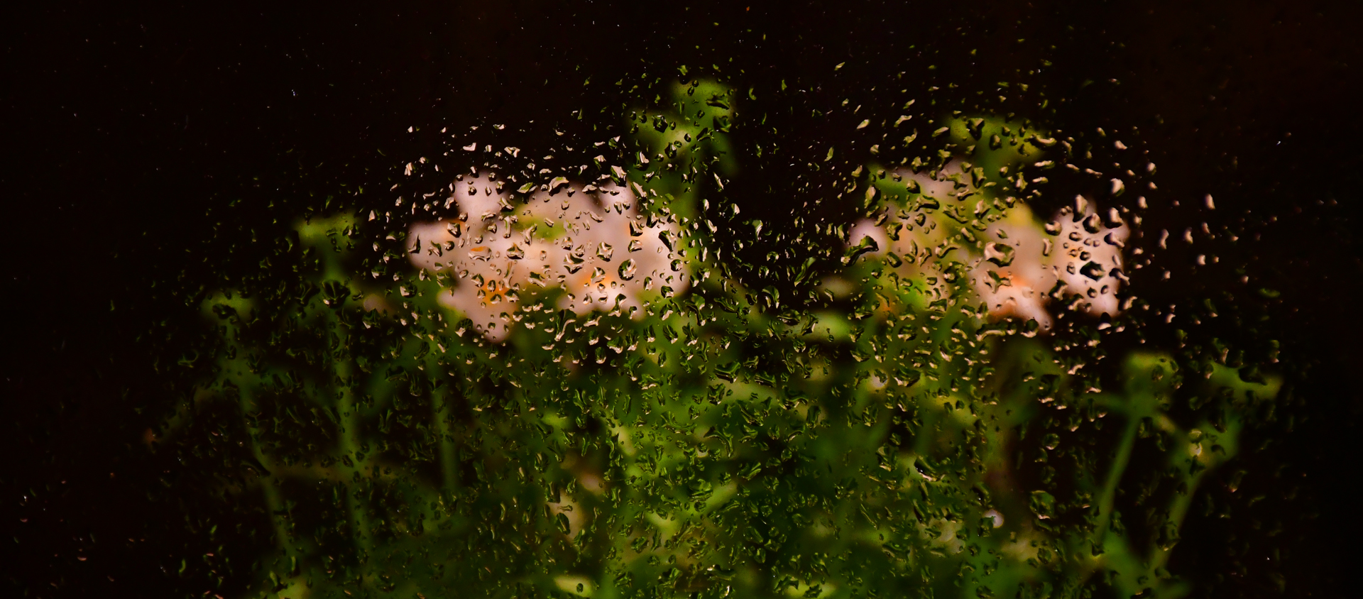 שמש רטובה - יואל שתרוג - אדמה יוצרת - גשם בחלון - yoel sitruk