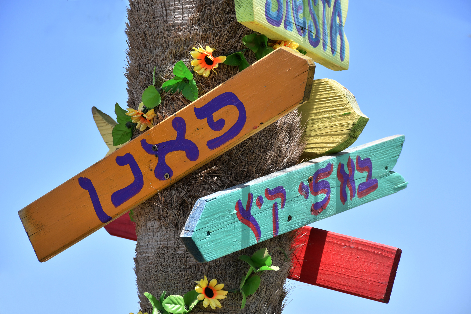 אדמה יוצרת | בא לי קיץ - יואל שתרוג - אדמה יוצרת